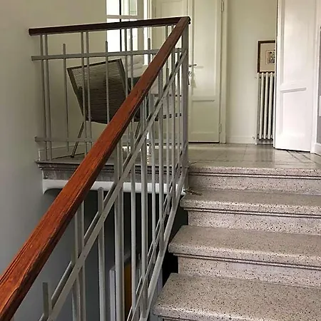 Estercarlo